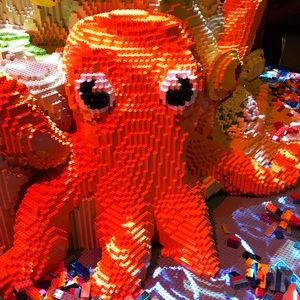 Meet your Posher, Tina